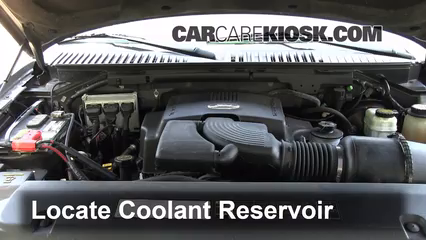 2004 Ford Expedition XLT 5.4L V8 Coolant (Antifreeze) Flush Coolant